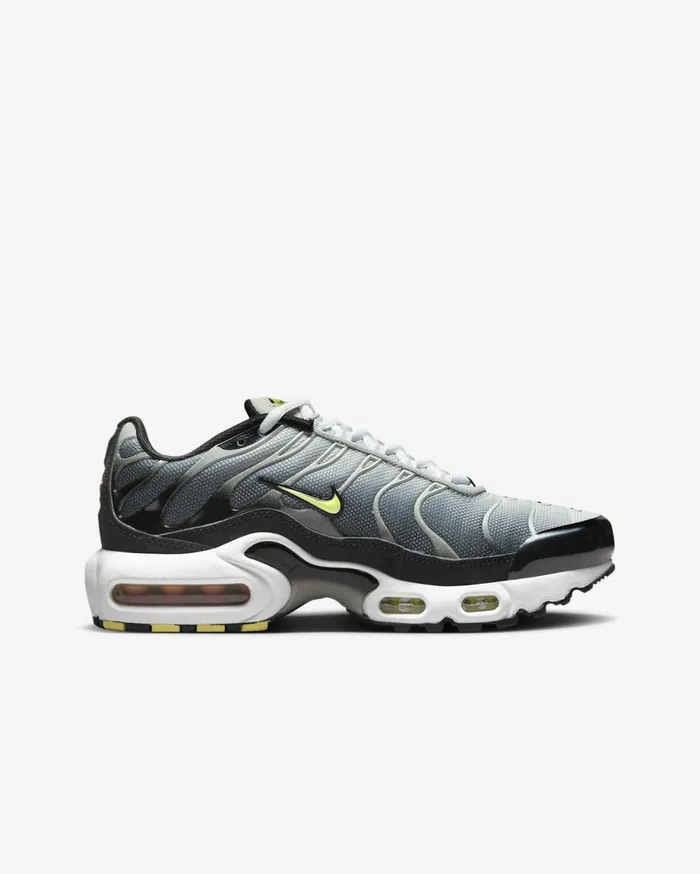 All Shoes Kids Nike Air Max Plus Blacklight Silverwhitebright Cactus