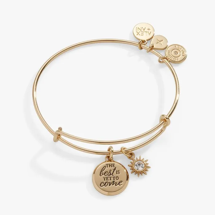 Bracelets Women Alex And Ani The Best Is Yet To Come039 Duo Charm Bangle Silver