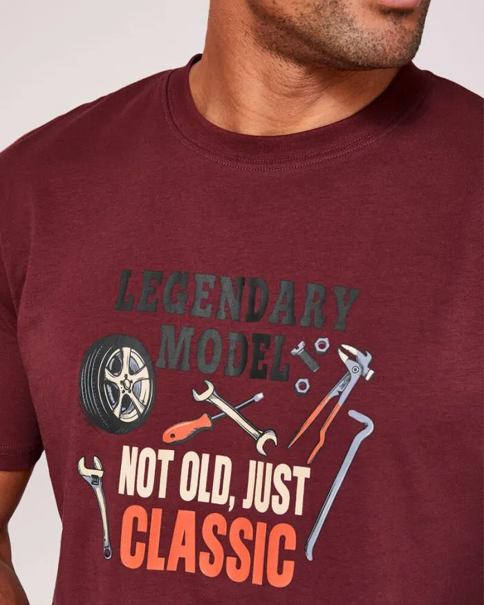 Cotton Traders Tops and TShirts The Wanderer Printed TShirt 8211 Men