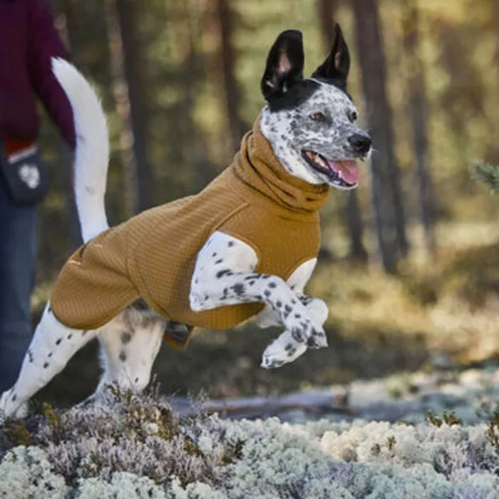 Dog Jackets Dogs Orvis Hurtta Warming Midlayer Eco Dog Jacket