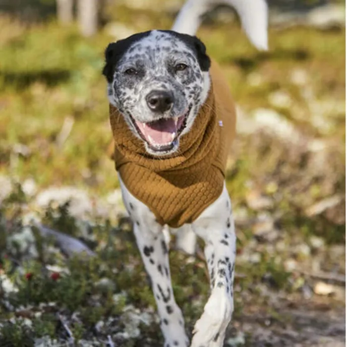 Dog Jackets Dogs Orvis Hurtta Warming Midlayer Eco Dog Jacket