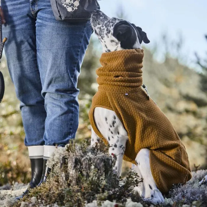 Dog Jackets Dogs Orvis Hurtta Warming Midlayer Eco Dog Jacket