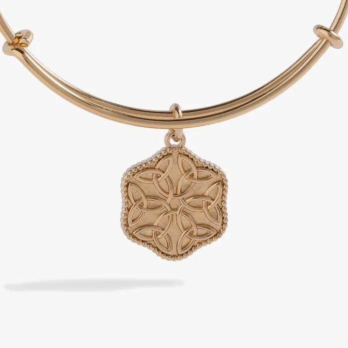 Iconic Women Alex And Ani Healing Love Bangle Gold
