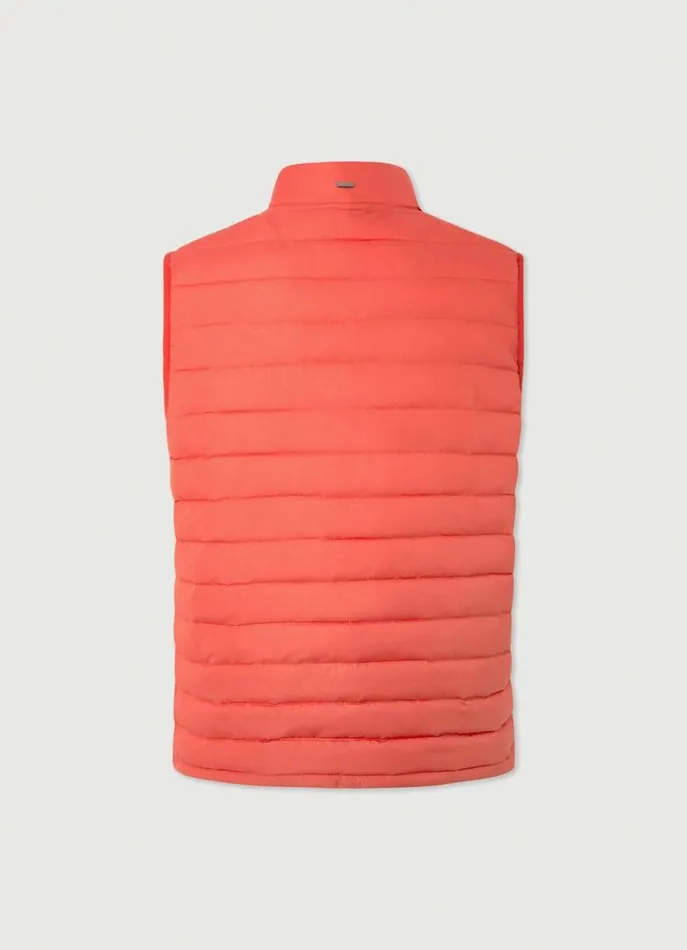 Men Coats and Jackets Hackett London Ultralight Padded Gilet Rust Orange