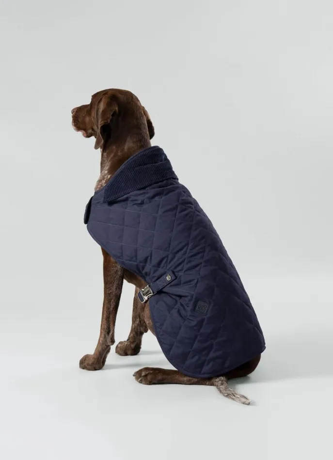 Men Hackett X Hugo and Hudson Hackett London Quilted Jacket For Dogs 8211 Medium Navy