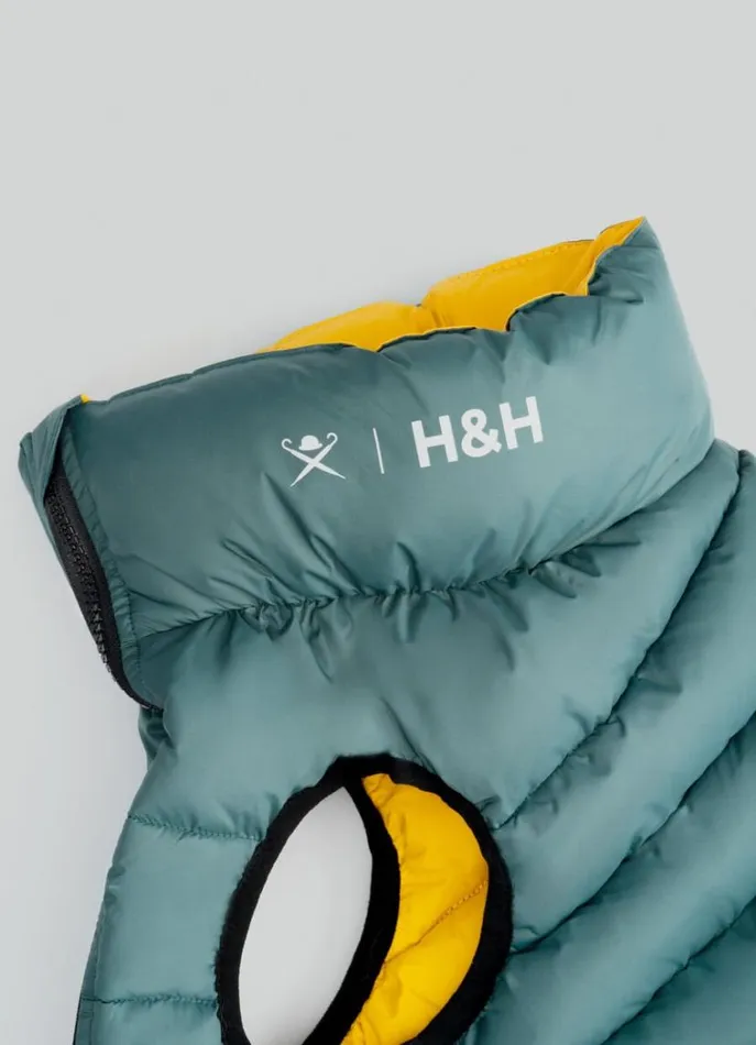Men Hackett X Hugo and Hudson Hackett London Reversible Puffer Jacket For Dogs 8211 Large Goldgreen