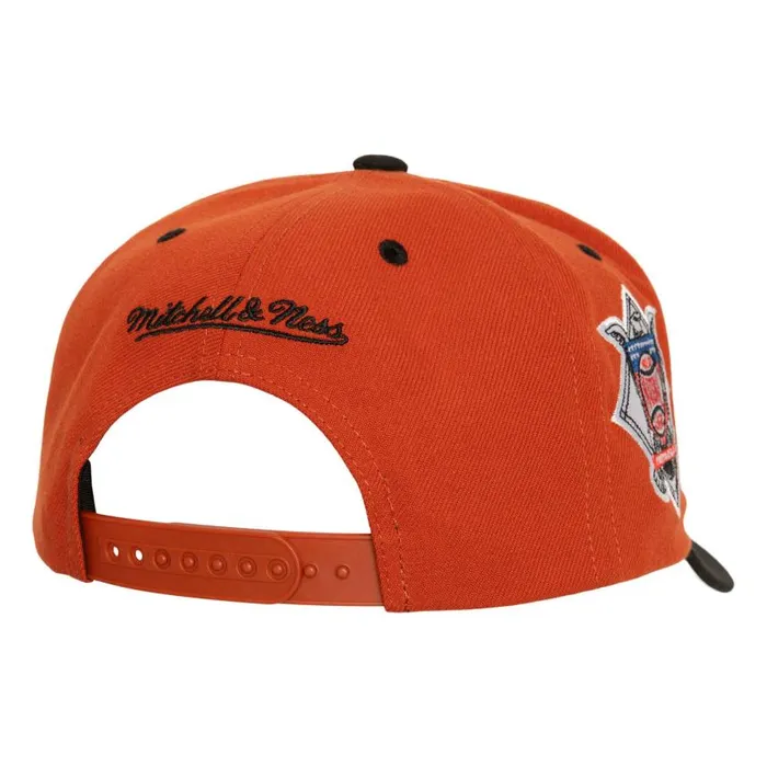Mitchell and Ness Crown Jewels Pro Snapback Coop Houston Astros Men Hats and Headwear
