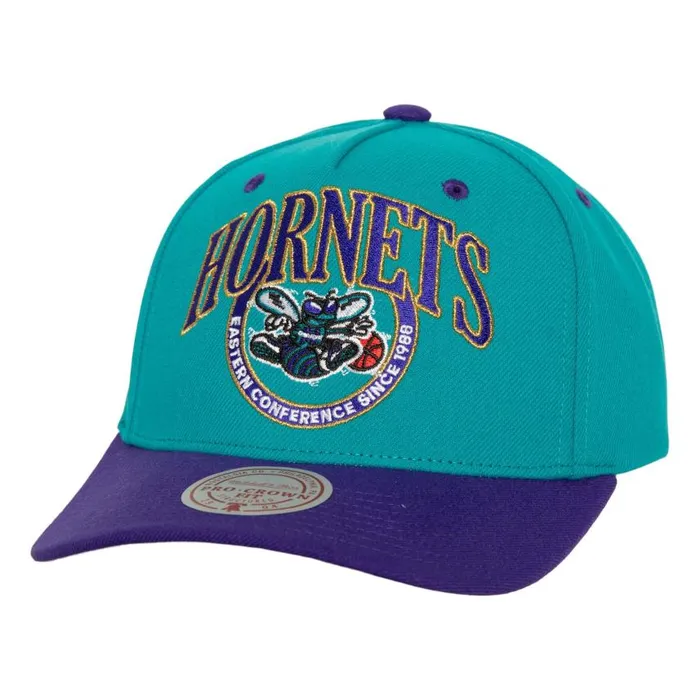 Mitchell and Ness Crown Jewels Pro Snapback HWC Charlotte Hornets Men Hats and Headwear Mitchell and Ness Crown Jewels Pro Snapback HWC Charlotte Hornets Men Hats and Headwear
