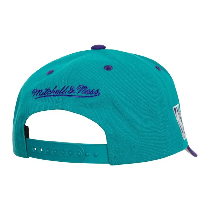 Mitchell and Ness Crown Jewels Pro Snapback HWC Charlotte Hornets Men Hats and Headwear