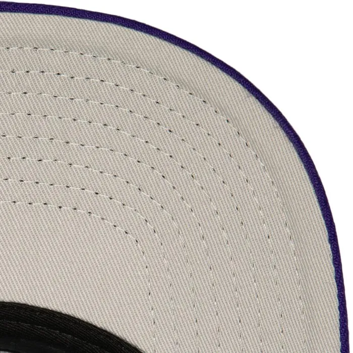 Mitchell and Ness Crown Jewels Pro Snapback HWC Charlotte Hornets Men Hats and Headwear
