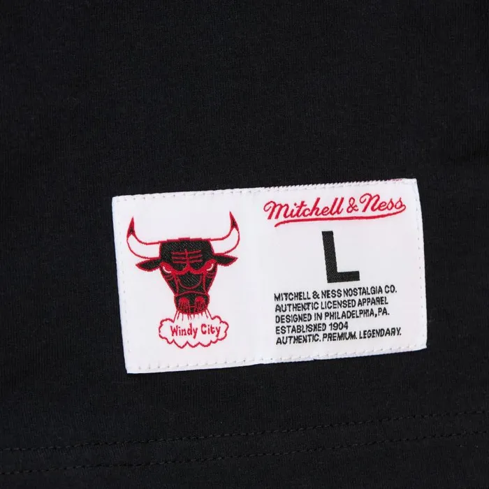 Mitchell and Ness MandN Hometown SS Tee Vintage Logo Chicago Bulls Men TShirts and Tops Mitchell and Ness MandN Hometown SS Tee Vintage Logo Chicago Bulls Men TShirts and Tops