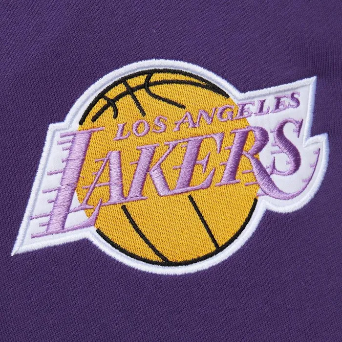 Mitchell and Ness Premium NandN Player Fleece Vintage Logo Los Angeles Lakers Ervin Johnson Men Hoodies and Sweatshirts Mitchell and Ness Premium NandN Player Fleece Vintage Logo Los Angeles Lakers Ervin Johnson Men Hoodies and Sweatshirts