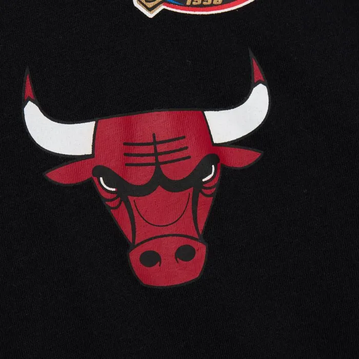 Mitchell and Ness SS Fashion Tee Chicago Bulls Kids TShirts and Tops Mitchell and Ness SS Fashion Tee Chicago Bulls Kids TShirts and Tops