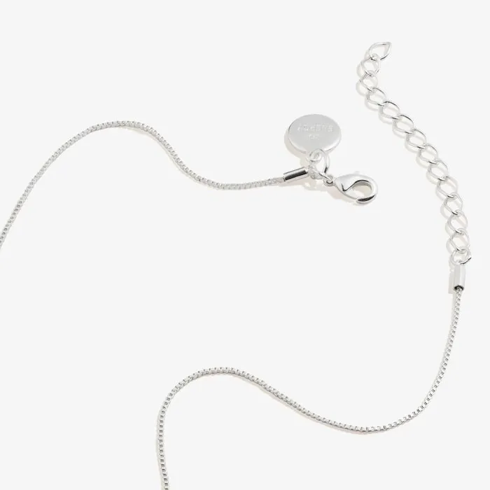 Necklaces Women Alex And Ani Scarlet Heart Necklace January Birthstone Silver