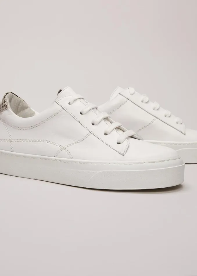 Phase Eight Flats White Leather Trainers White 8211 Women