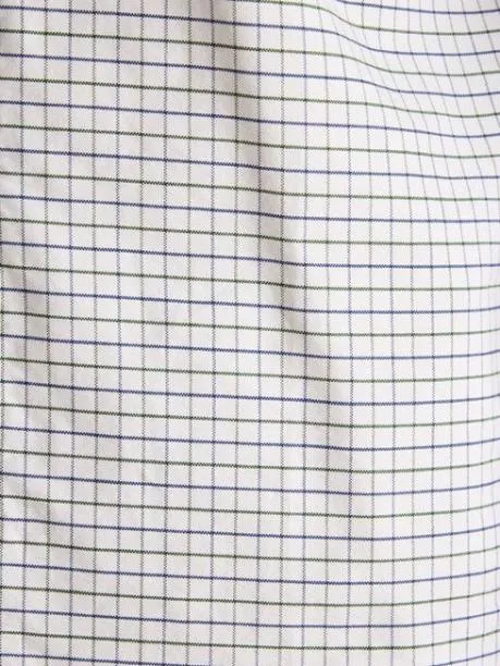 Shirts Men Joules Green Cotton Check Shirt