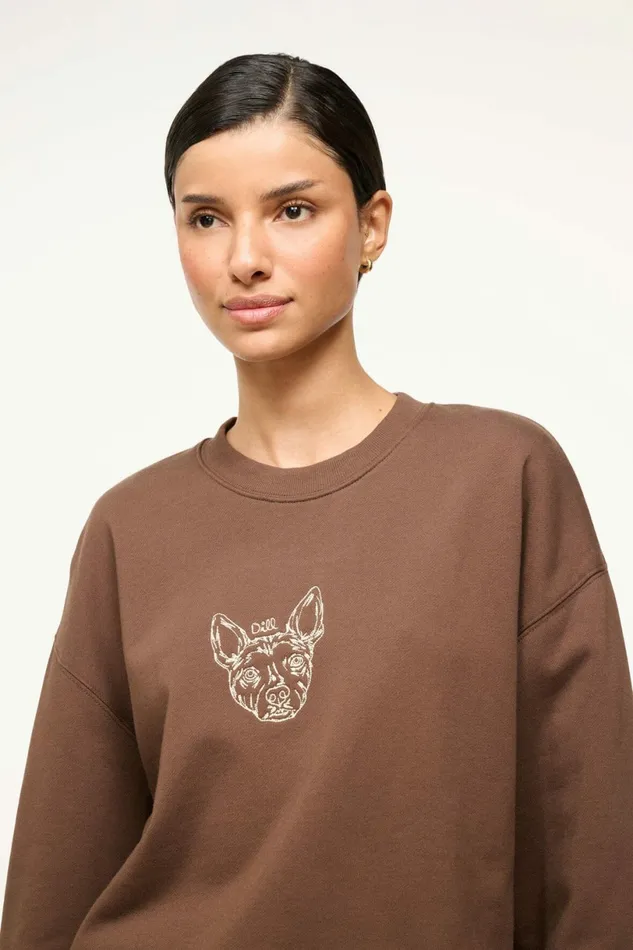 STAUD CUSTOM X CBONZ OVERSIZED SWEATSHIRT Brown Pet Custom Clothing
