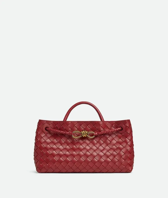 Women Bottega Veneta Crossbody EastWest Andiamo Rosewood