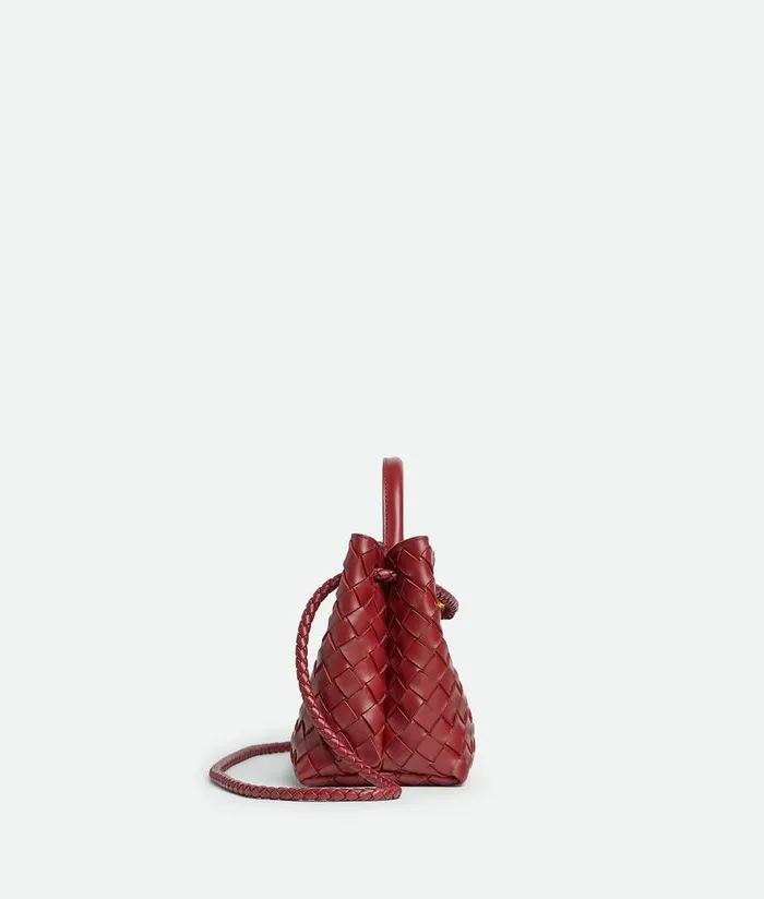 Women Bottega Veneta Crossbody EastWest Andiamo Rosewood