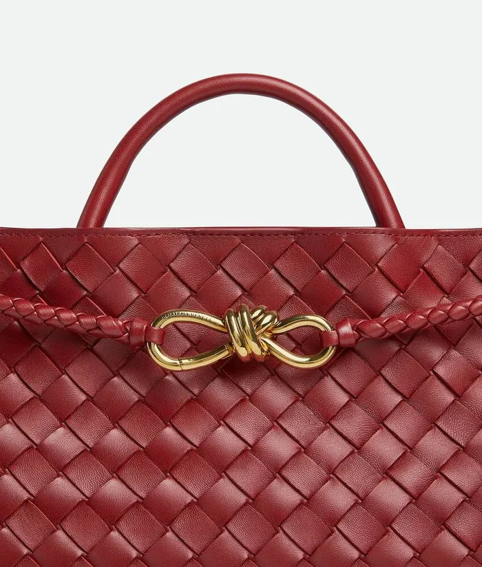 Women Bottega Veneta Crossbody EastWest Andiamo Rosewood