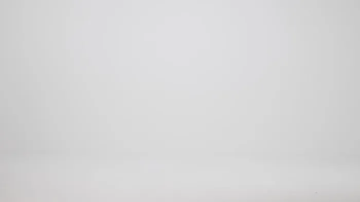 Women Brahmin Satchels Duxbury Satchel Intuition