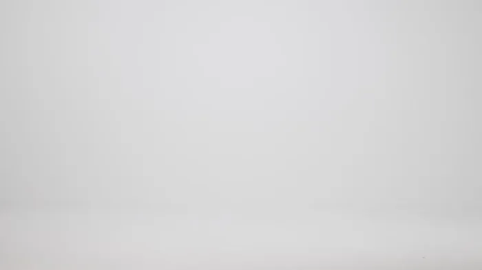 Women Brahmin Satchels Large Duxbury Satchel Pecan Melbourne