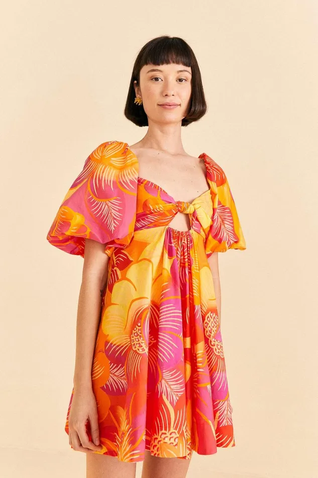 Women Mini Dresses Farm Rio Summer Garden Ombre Mini Dress