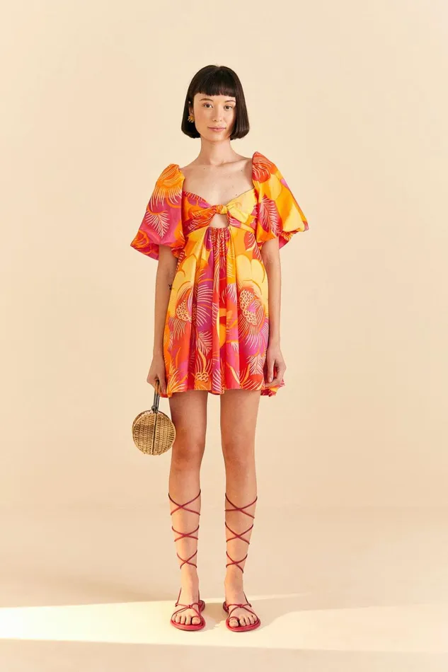 Women Mini Dresses Farm Rio Summer Garden Ombre Mini Dress