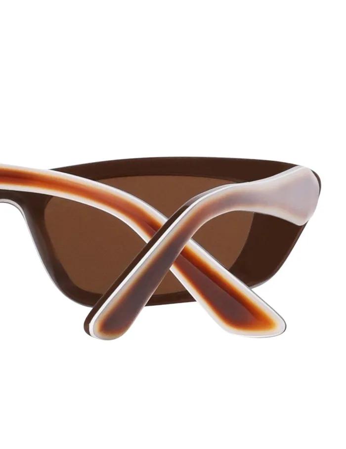 Women Sunglasses Zimmermann Uptempo Cat Eye Havana